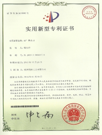 10實用新型專利